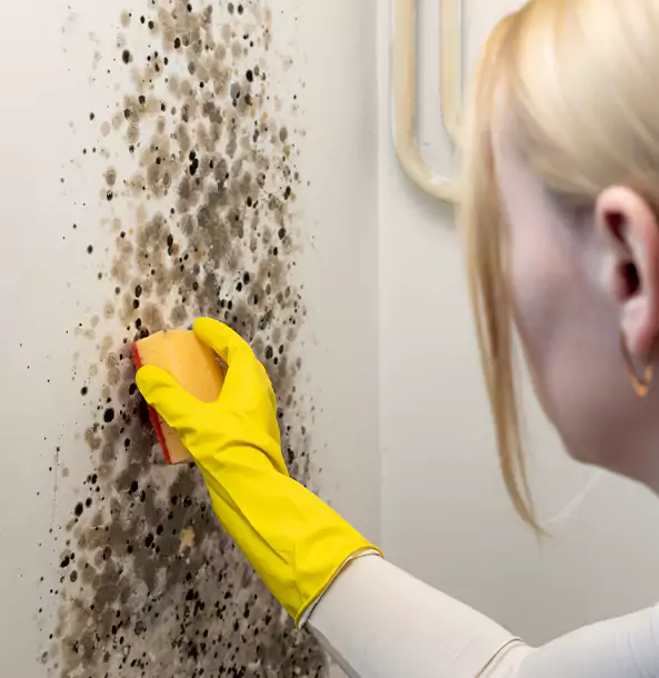 Why Pine Restoration Pro Leads Mold Remediation in Pine?