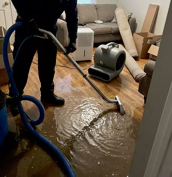 Why Pine Trusts Pine Restoration Pro for Sewage Cleanup?