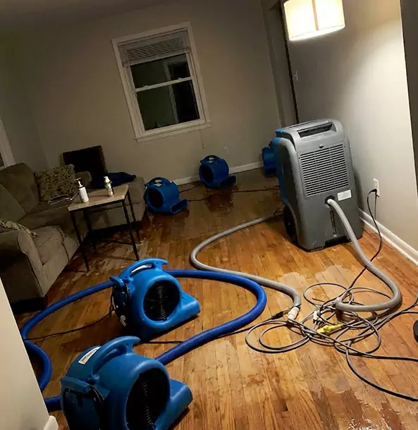 Why Pine Property Owners Rely on Pine Restoration Pro for Remediation?
