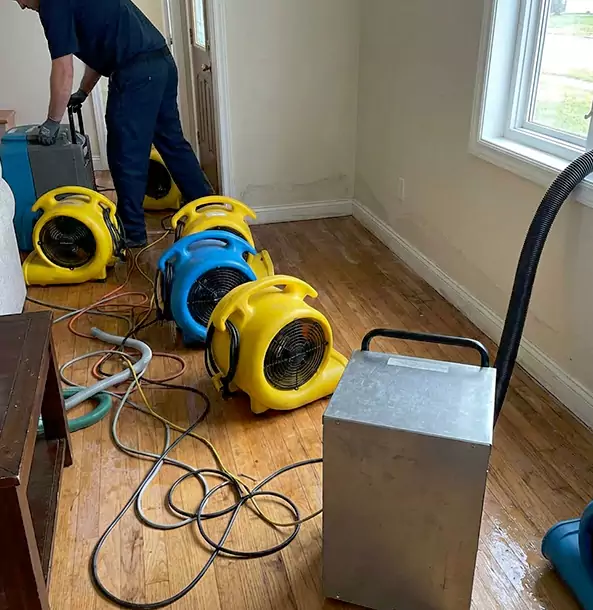 Why Pine Property Owners Choose Pine Restoration Pro for Remediation?