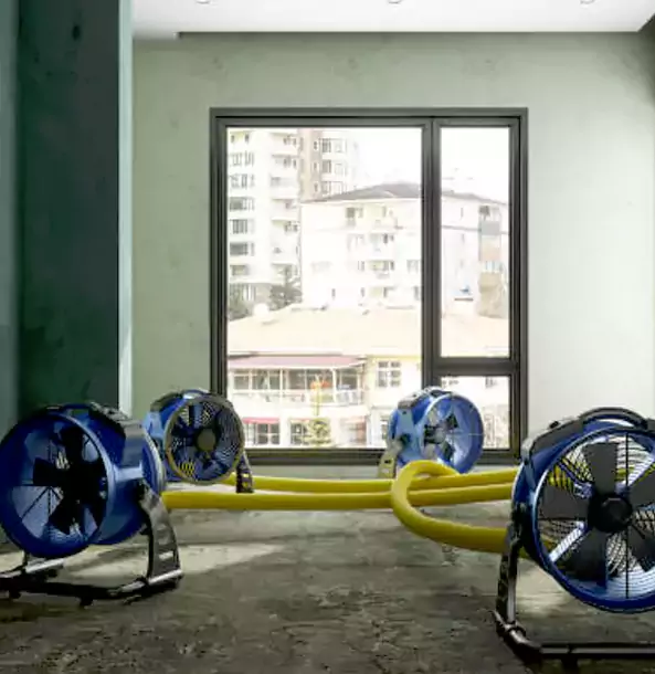 Why Pine Property Owners Trust Pine Restoration Pro for Water Damage Drying?