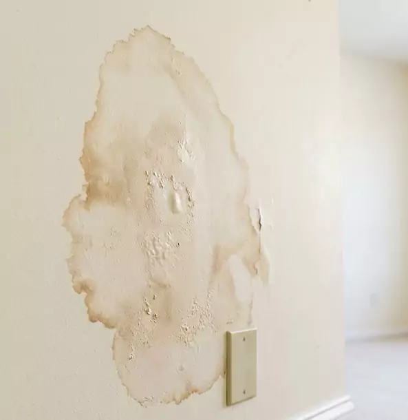 Why Pine Homeowners Trust Pine Restoration Pro for Drywall Restoration?
