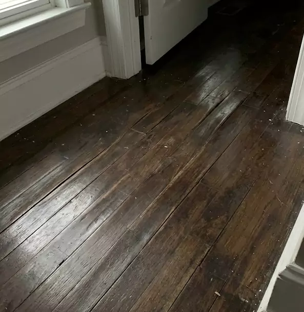 Why Pine Homeowners Trust Pine Restoration Pro to Fix Water Damaged Wood?
