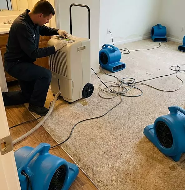Why Pine Homeowners and Businesses Trust Pine Restoration Pro for Carpet Drying?