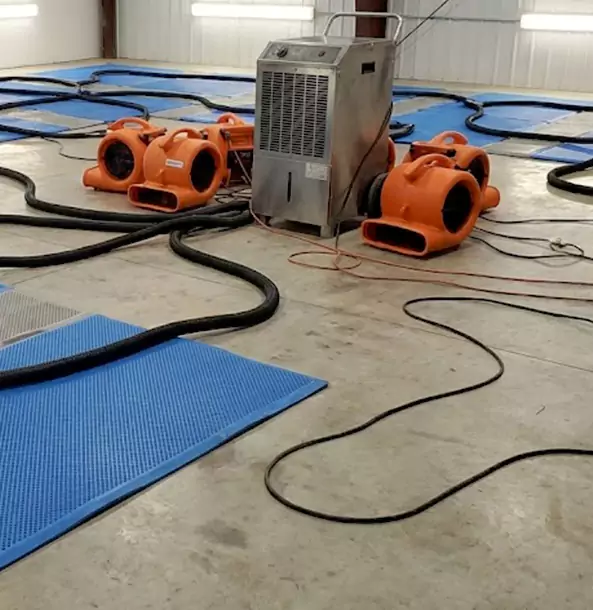 Why Pine Homeowners and Businesses Choose Pine Restoration Pro for Wet Carpet Removal?
