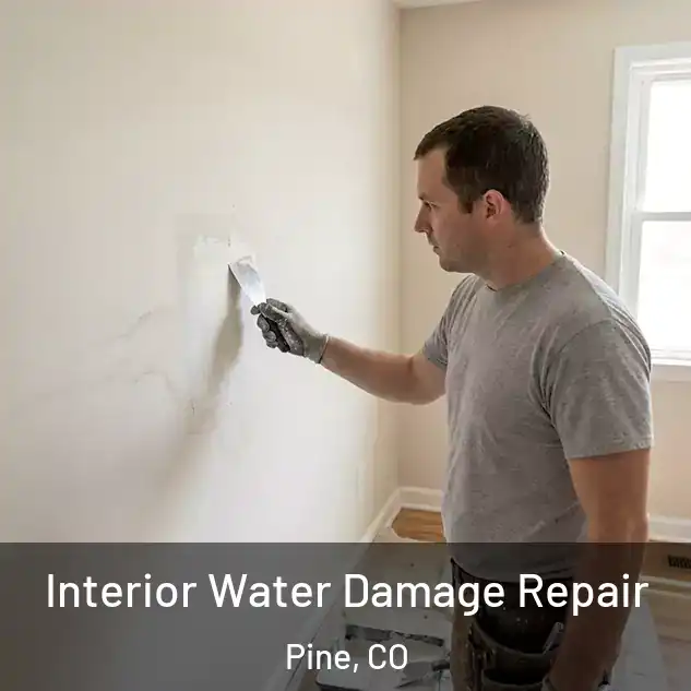  Interior Water Damage Repair Pine, CO