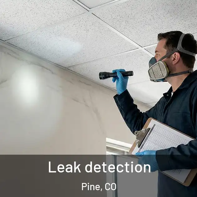  Leak detection Pine, CO