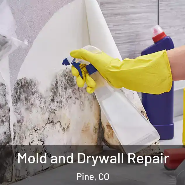  Mold and Drywall Repair Pine, CO