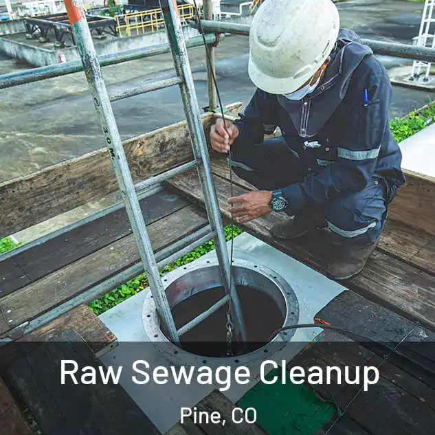  Raw Sewage Cleanup Pine, CO