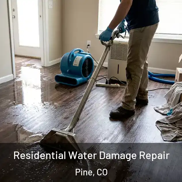  Residential Water Damage Repair Pine, CO