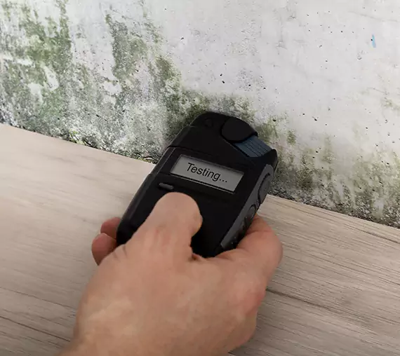 Mold Remediation Service Pine