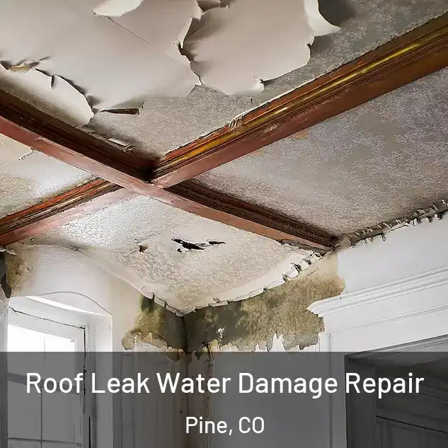  Roof Leak Water Damage Repair Pine, CO