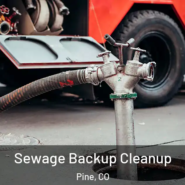  Sewage Backup Cleanup Pine, CO