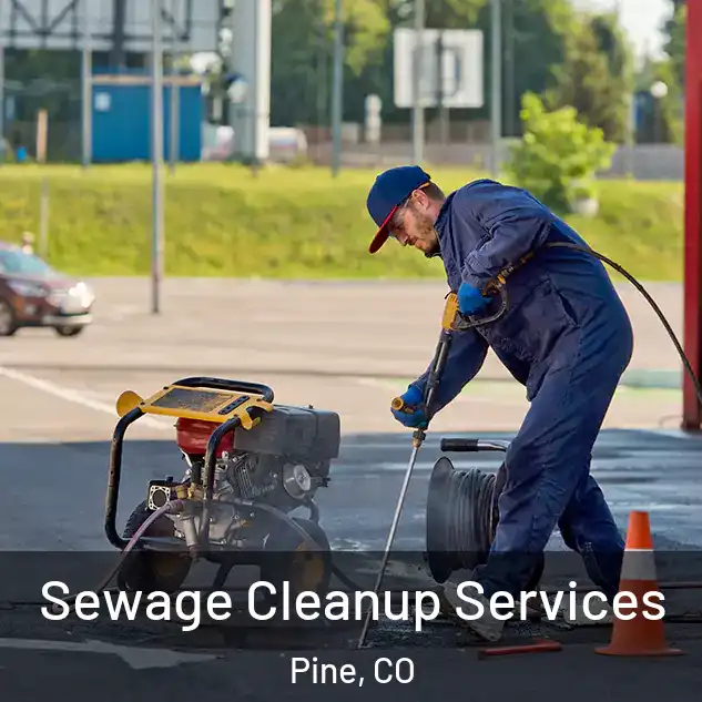  Sewage Cleanup Services Pine, CO