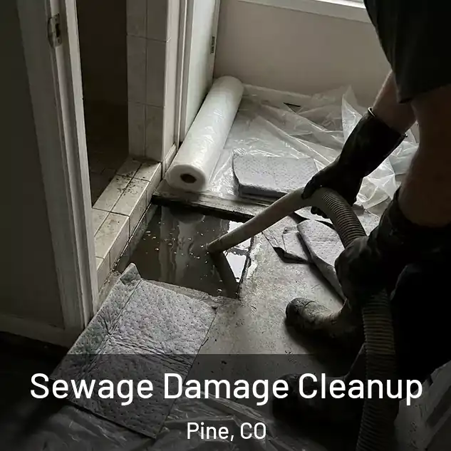  Sewage Damage Cleanup Pine, CO