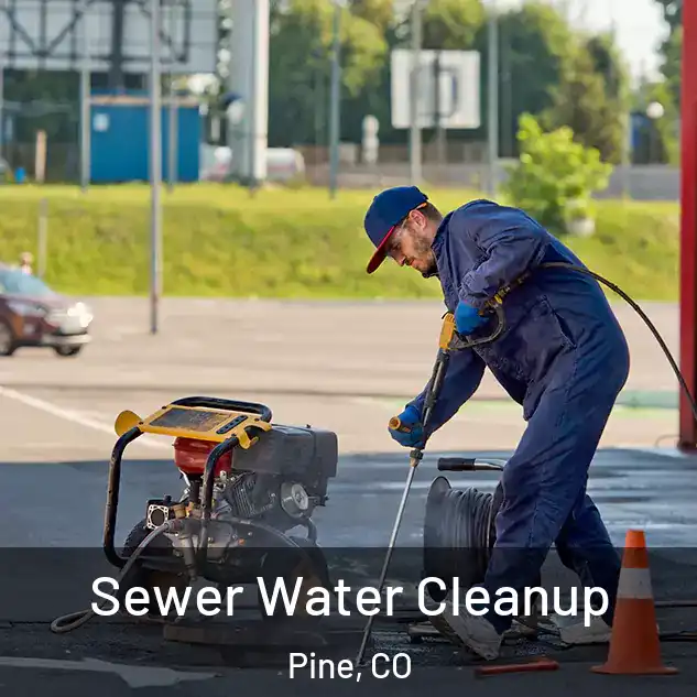 Sewer Water Cleanup Pine, CO