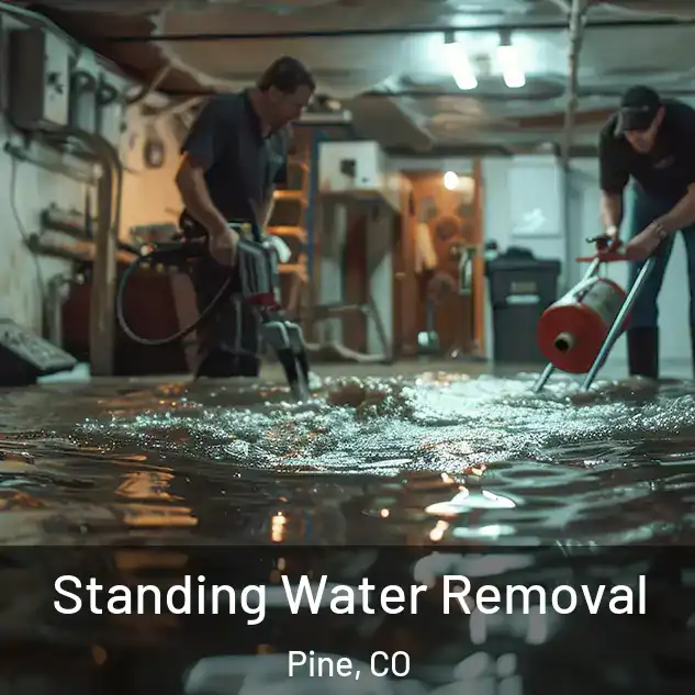  Standing Water Removal Pine, CO