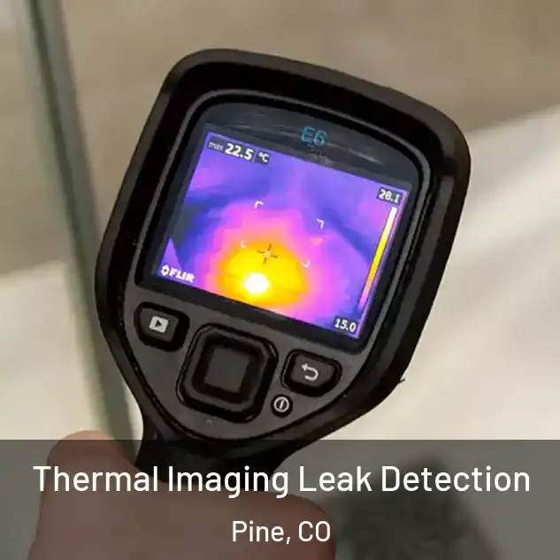  Thermal Imaging Leak Detection Pine, CO