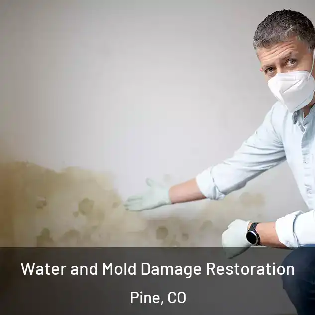  Water and Mold Damage Restoration Pine, CO