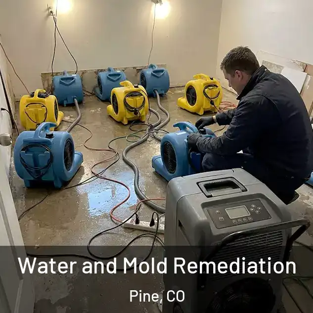  Water and Mold Remediation Pine, CO