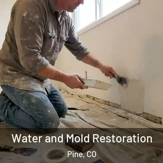  Water and Mold Restoration Pine, CO