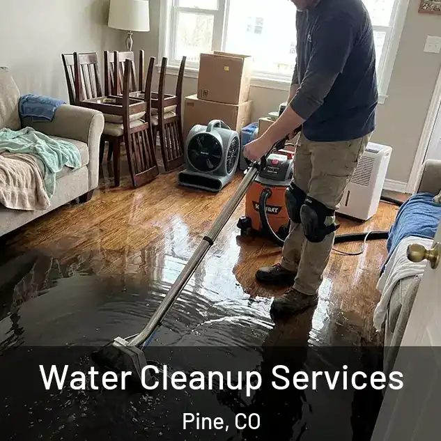  Water Cleanup Services Pine, CO
