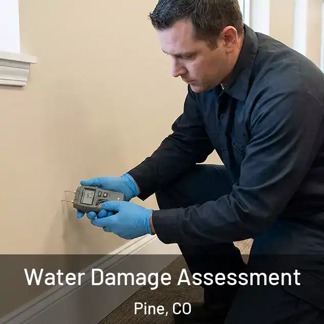  Water Damage Assessment Pine, CO