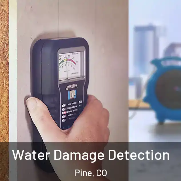  Water Damage Detection Pine, CO