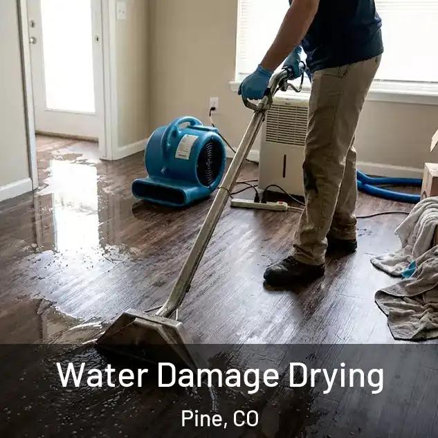  Water Damage Drying Pine, CO
