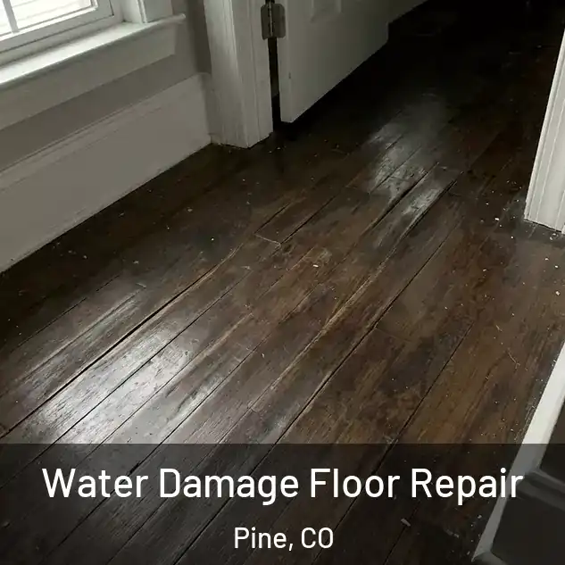  Water Damage Floor Repair Pine, CO