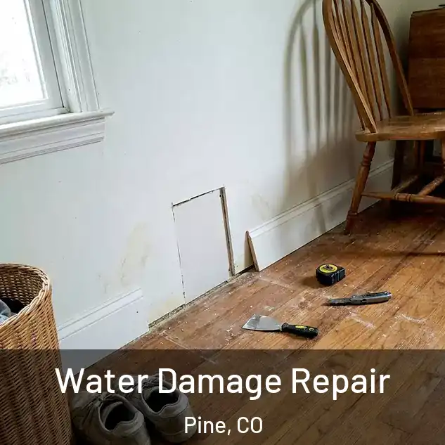  Water Damage Repair Pine, CO