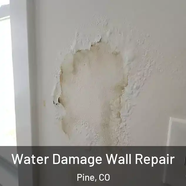  Water Damage Wall Repair Pine, CO
