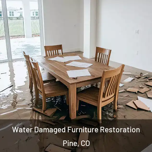  Water Damaged Furniture Restoration Pine, CO