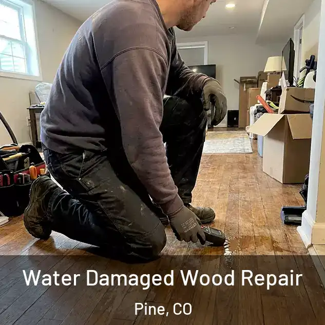 Water Damaged Wood Repair Pine, CO