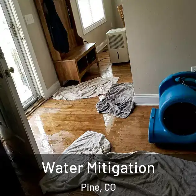  Water Mitigation Pine, CO