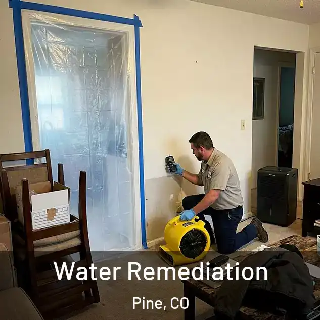  Water Remediation Pine, CO