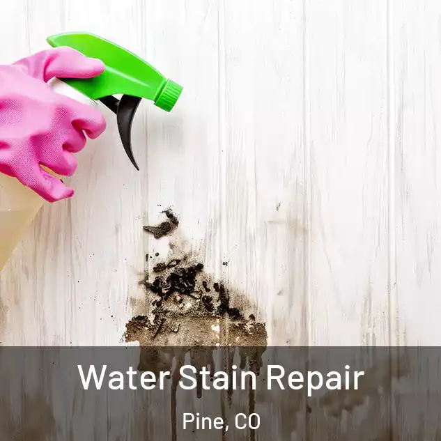  Water Stain Repair Pine, CO