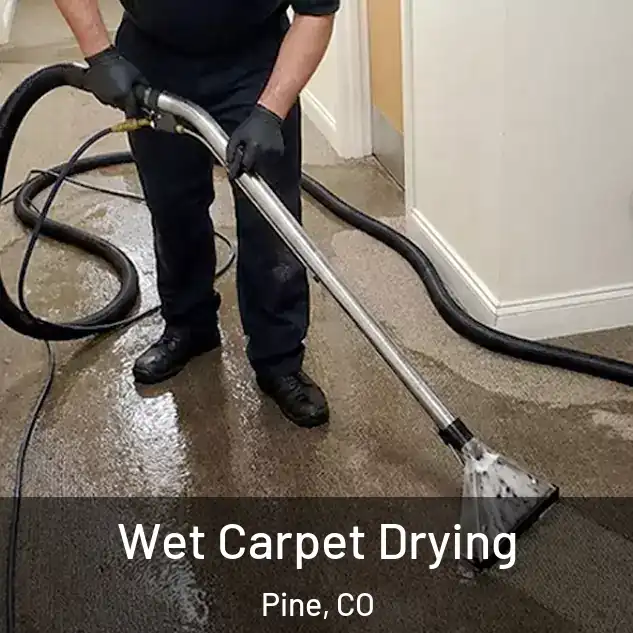  Wet Carpet Drying Pine, CO