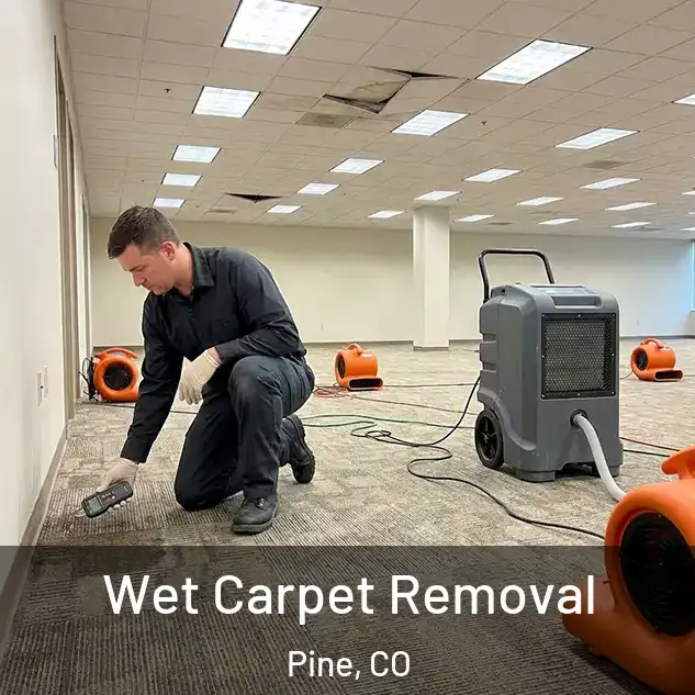  Wet Carpet Removal Pine, CO